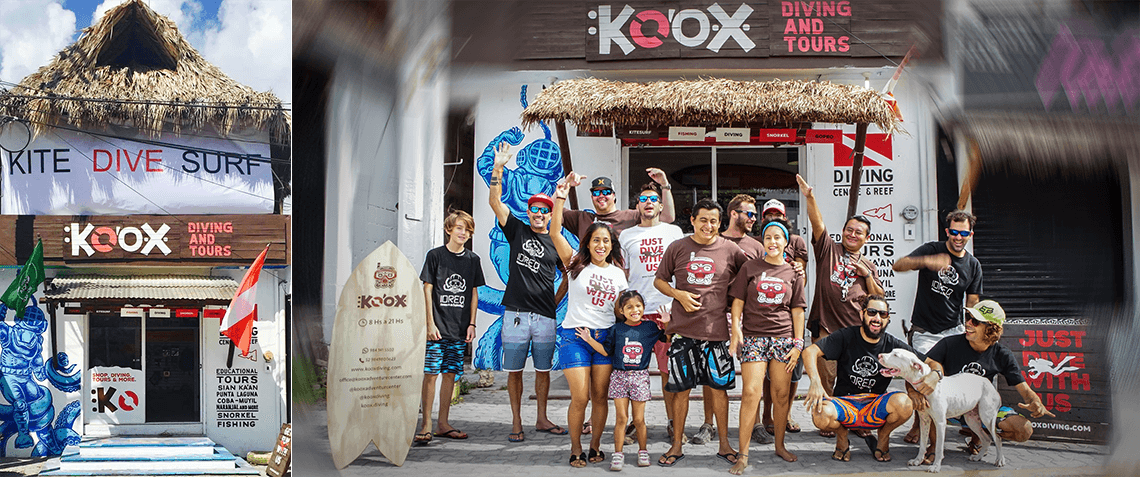 meet the koox team
