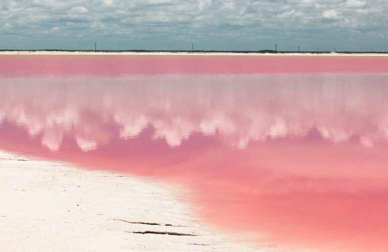 Visiting the Pink Lakes of Las Coloradas in Mexico Koox Diving