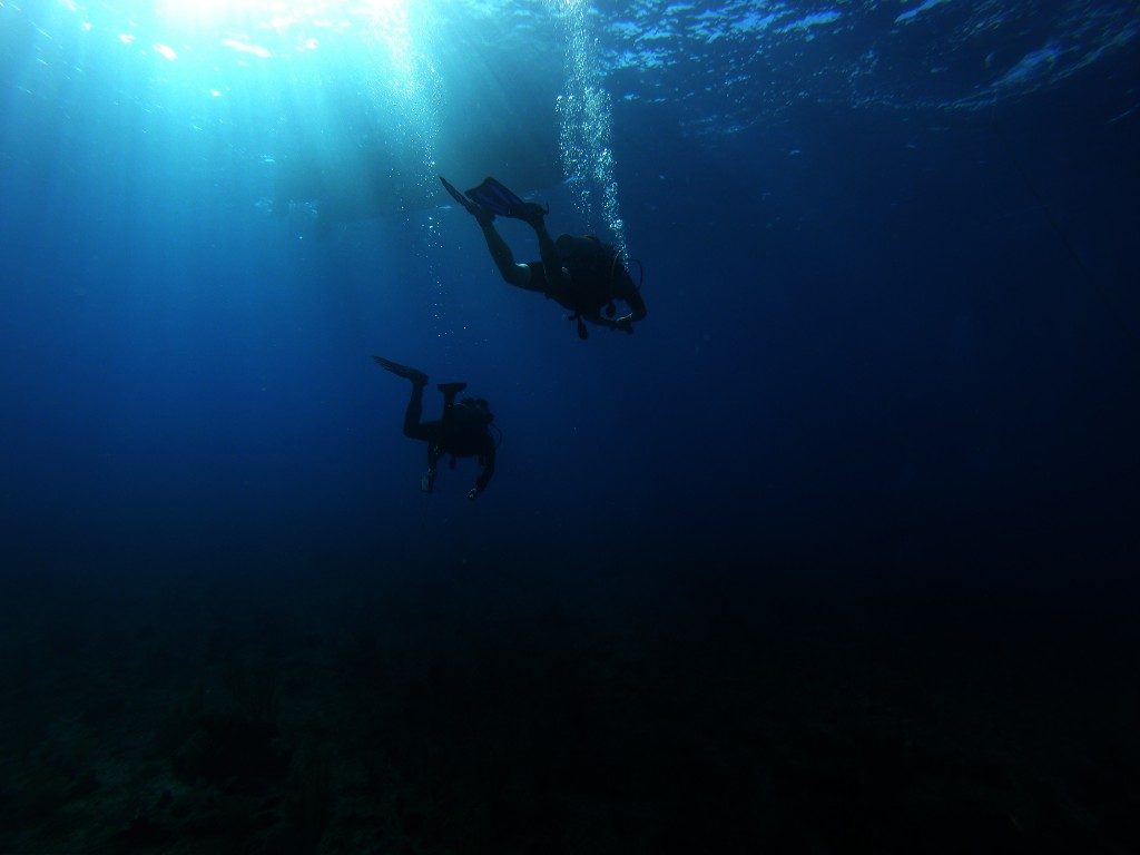 Scuba Divers