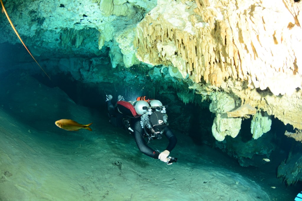La guía definitiva para el buceo en cuevas en México Koox Diving