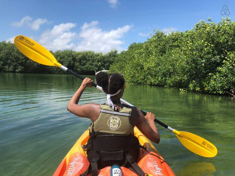 Kayaking Eco Tour of Nichupté Lagoon from Cancun