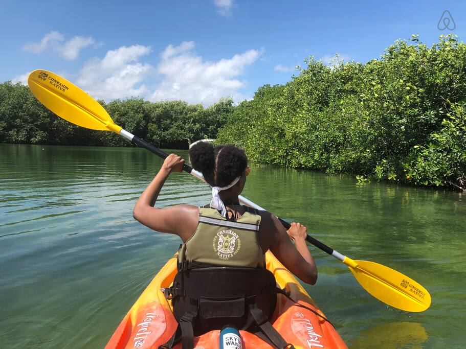 cancun nichupte lagoon kayak