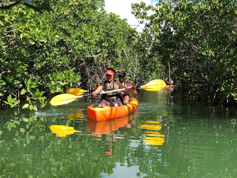 Kayaking Eco Tour of Nichupté Lagoon from Cancun