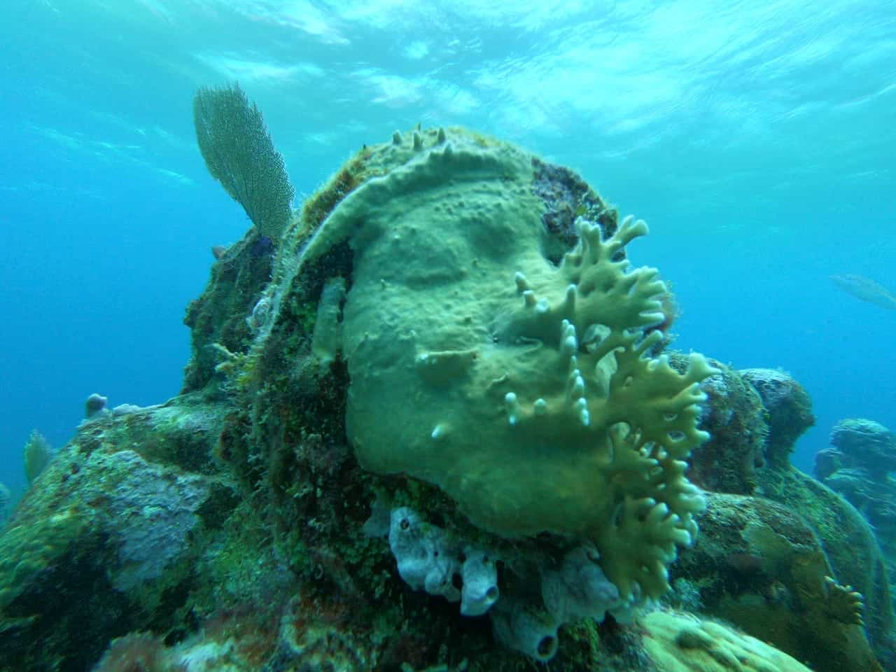 Scuba Diving in MUSA Underwater Museum, Cancun