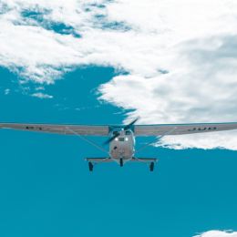 Airplane Safari